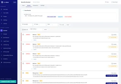 Results — Scan results with detected issues
